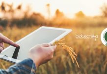 NIPGR SERB Funded Project Job – Research Associate Vacancy Available NIPGR Latest Jobs