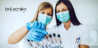 NIPGR Student Internship