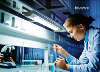 Novartis Clinical Expert For Life Sciences – Apply Online Novartis Clinical Expert