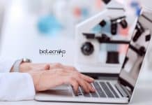Novartis Clinical Programmer Job