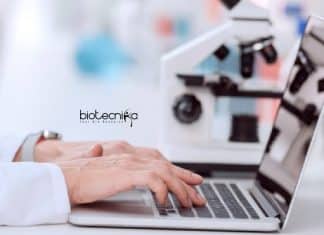 Novartis Life Sciences Clinical Programmer Job Opening Novartis Clinical Programmer Job