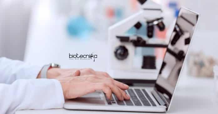 Novartis Clinical Programmer Job