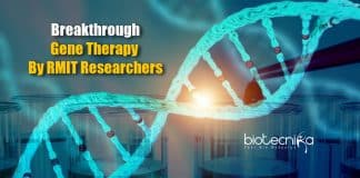 Novel gene therapy approach