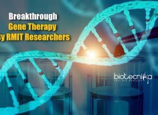 RMIT Scientists Develop New Affordable Mechanism For CRISPR/Cas9 Delivery Novel gene therapy approach