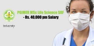 PGIMER SRF Job