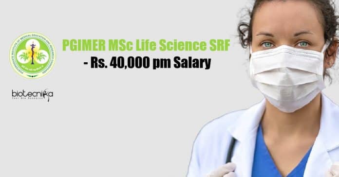 PGIMER SRF Job
