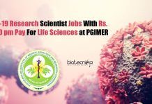 PGIMER Scientist Vacancies