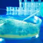 Periyar University Microbiology Research Associate & Assistant Vacancies Periyar University Microbiology Research