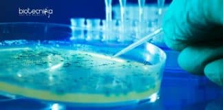 Periyar University Microbiology Research