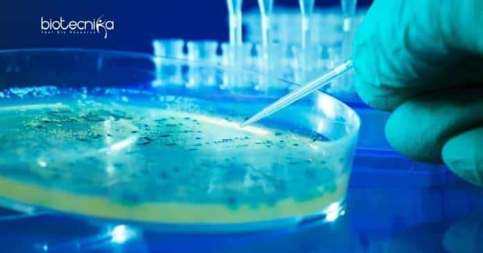 Periyar University Microbiology Research