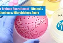 Pfizer Trainee Recruitment – Biotech / Biochem & Microbiology Apply Pfizer Trainee Jobs