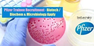 Pfizer Trainee Jobs
