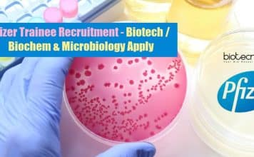 Pfizer Trainee Recruitment – Biotech / Biochem & Microbiology Apply Pfizer Trainee Jobs
