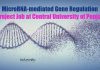MicroRNA-mediated Gene Regulation Project Job at Central University of Punjab Punjab University Jobs