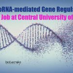 MicroRNA-mediated Gene Regulation Project Job at Central University of Punjab Punjab University Jobs