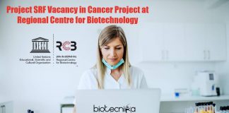 RCB Project SRF Job
