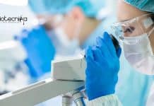 SASTRA JRF Biotechnology Vacancy Available – Applications Invited SASTRA JRF Biotechnology