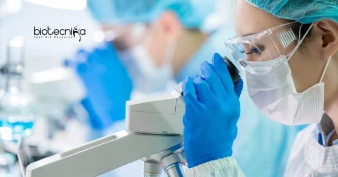 SASTRA JRF Biotechnology