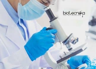SCTIMST Biotech JRF Job