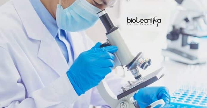 SCTIMST Biotech JRF Job