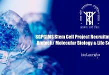 SGPGIMS Stem Cell Project Recruitment For Biotech/ Molecular Biology & Life Science SGPGIMS Molecular Biology