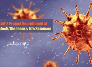 SNU SRF Jobs
