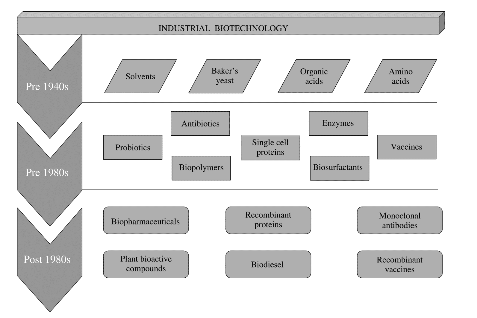  Career Prospects of Industrial Biotechnology