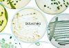 Syngene Executive – Quality Control Microbiology Job Opening Syngene QC Microbiology Job