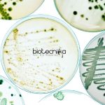 Syngene Executive – Quality Control Microbiology Job Opening Syngene QC Microbiology Job