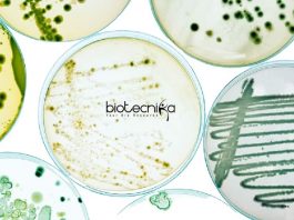Syngene QC Microbiology Job