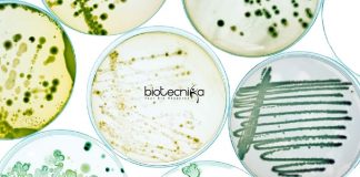 Syngene QC Microbiology Job