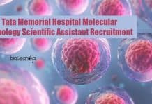 Tata Memorial Hospital Molecular Pathology Scientific Assistant Recruitment Tata Memorial Hospital Jobs