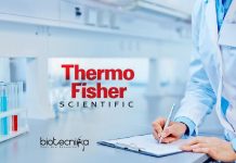 Thermo Fisher Technical Writer