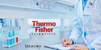 Thermo Fisher Technical Writer