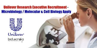 Unilever Research Executive Recruitment