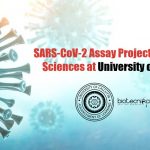 University of Calcutta Vacancies