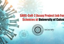 SARS-CoV-2 Assay Project Job For Life Sciences at University of Calcutta University of Calcutta Vacancies
