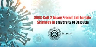 University of Calcutta Vacancies