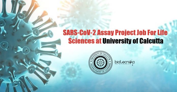 University of Calcutta Vacancies