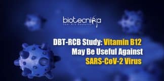 Vitamin B12 Against SARS-Cov-2 virus