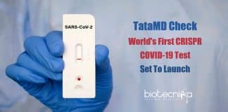 world's first CRISPR COVID-19 test