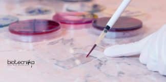 ACBR Jobs For Biotech