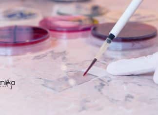 ACBR Jobs For Biotech