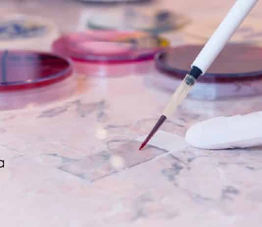 ACBR Jobs For Biotech