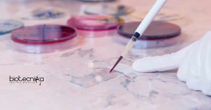 ACBR Jobs For Biotech