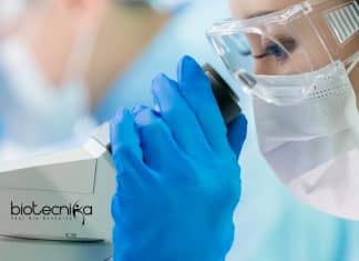 AIIMS Bhopal Junior Research
