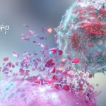 Anna University Project Recruitment