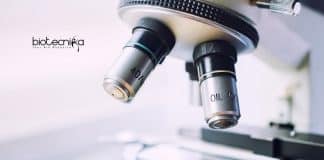 Bose Institute Life Science