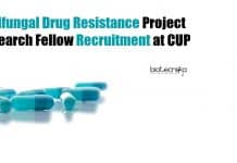 Antifungal Drug Resistance Project Research Fellow Recruitment at CUP CUP JRF Job Vacancy