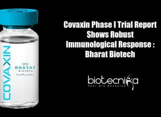 Covaxin Phase I Trial Report